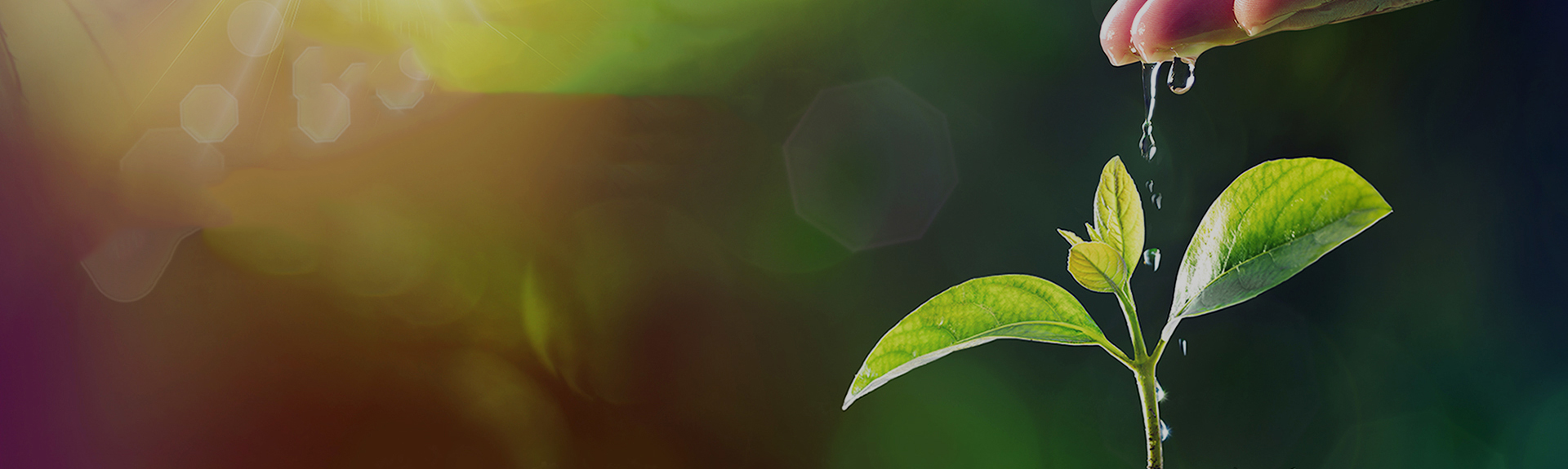 yl23411ÓÀÀû(Öйú)ÓÐÏÞ¹«Ë¾¹ÙÍø